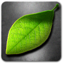 Fresh Leaves - icon
