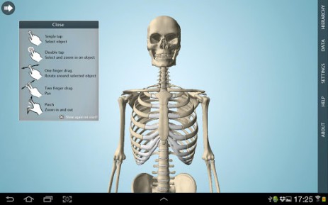 Anatomy 3D Pro - анатомия человека | Android