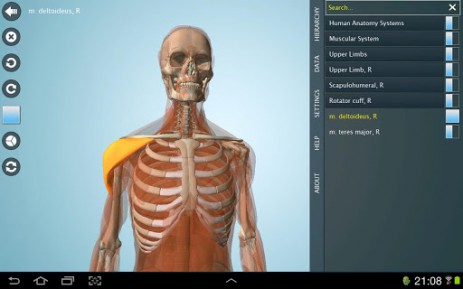 Anatomy 3D Pro - анатомия человека | Android