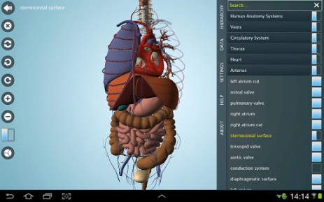 Anatomy 3D Pro - анатомия человека | Android