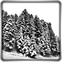 Winter Lands 3D Live Wallpaper — обои «Зимний мир» - icon