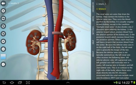 Anatomy 3D Pro - анатомия человека | Android