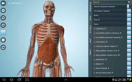 Anatomy 3D Pro - анатомия человека | Android