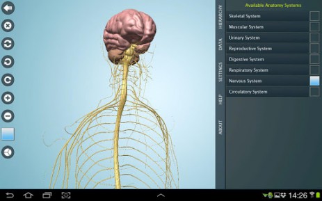 Anatomy 3D Pro - анатомия человека | Android