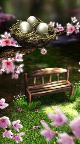 Season Zen Free | Android