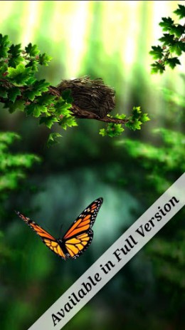 Season Zen Free | Android
