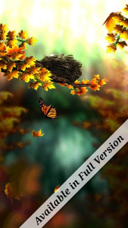 Season Zen Free | Android