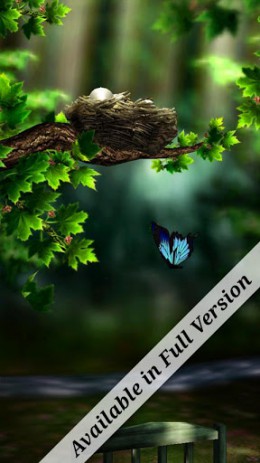 Season Zen Free | Android