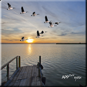 Feeling Good Blue Lake LW - icon