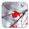 Water on your screen - icon
