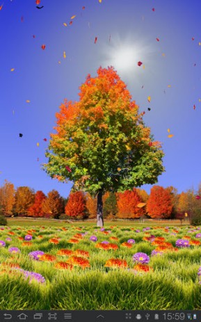 Autumn Trees | Android