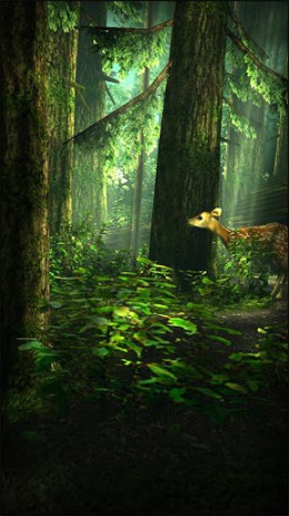 Forest HD | Android