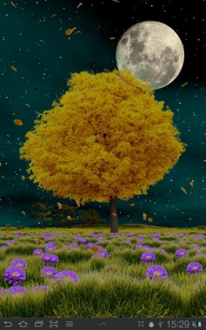 Autumn Trees | Android