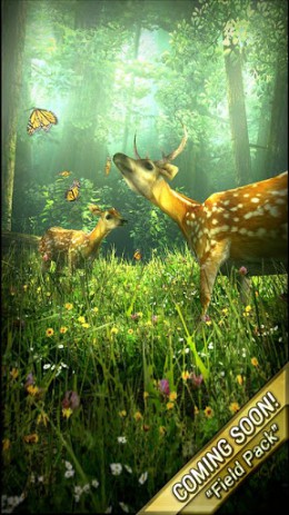 Forest HD | Android