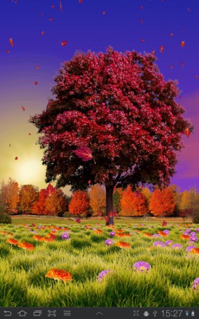 Autumn Trees | Android
