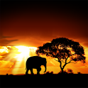African Sunset - icon