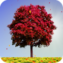 Autumn Trees - icon