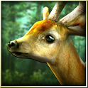 Forest HD - icon