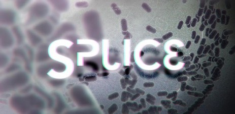 Splice - thumbnail