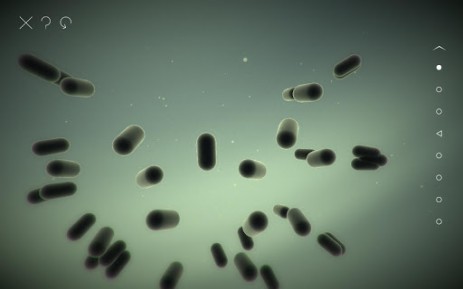 Splice | Android