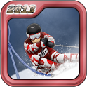 Ski & Snowboard 2013 - icon