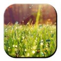 Galaxy S4 Rain n Grass LWP - icon
