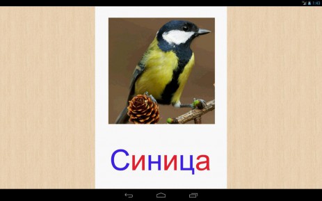Развивающие карточки для детей | Android