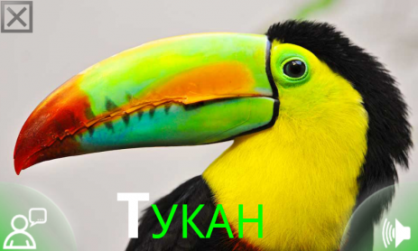 Изучаем Звуки Животных | Android