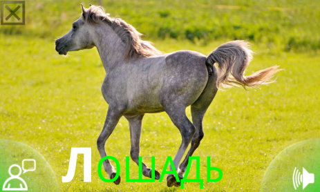 Изучаем Звуки Животных | Android