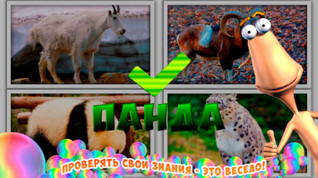 Животные для детей: обучение | Android