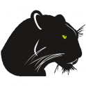 Black Panther Runner - icon