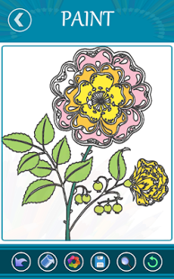 ColorGram-Adult Coloring Book | Android