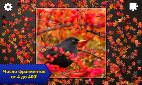 Jigsaw Puzzle Epic | Android