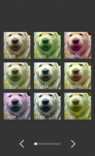 Fisheye Pro | Android