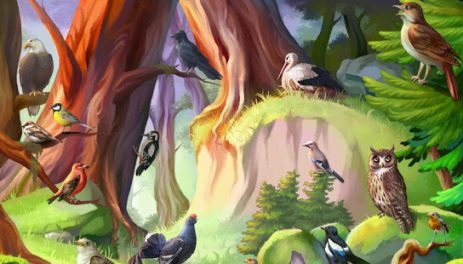 Кто живет в лесу, детская игра | Android