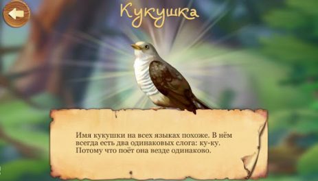 Кто живет в лесу, детская игра | Android