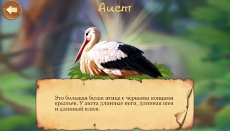 Кто живет в лесу, детская игра | Android