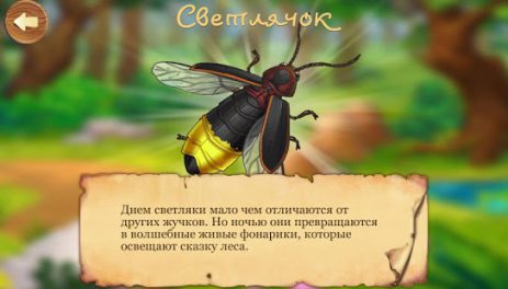 Кто живет в лесу, детская игра | Android