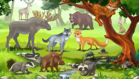 Кто живет в лесу, детская игра | Android
