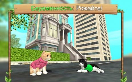 Симулятор Кошки Онлайн | Android
