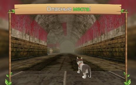 Симулятор Кошки Онлайн | Android