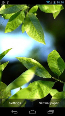 Fresh Leaves | Android
