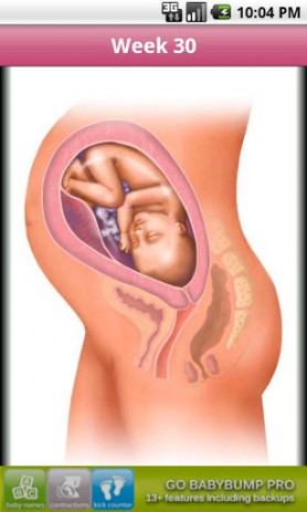 BabyBump (Pregnancy App) | Android
