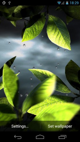 Fresh Leaves | Android