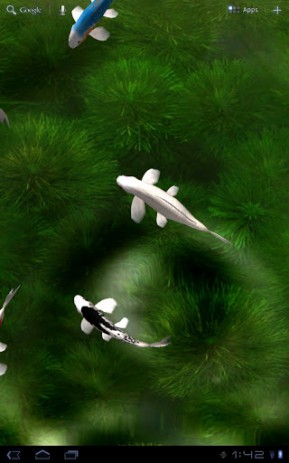 Koi Live Wallpaper | Android