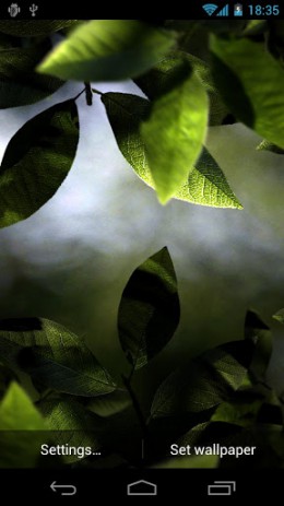 Fresh Leaves | Android