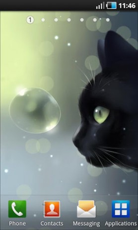 Curious Cat - любопытный кот | Android