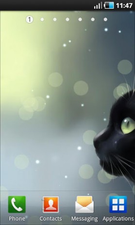 Curious Cat - любопытный кот | Android