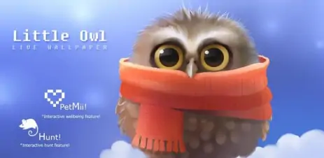 Poster Little Owl