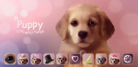 Poster Puppy Live Wallpaper Poster Puppy Live Wallpaper